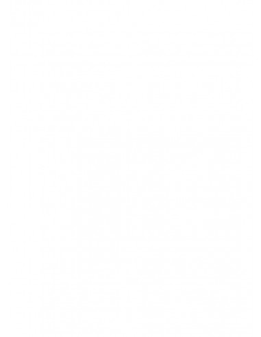 Stymulator-FF NIPPLE CHAIN CLIPS - Klamry i klipsy na sutki - 2