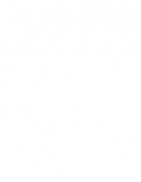 Stymulator-FF NIPPLE CHAIN CLIPS - Klamry i klipsy na sutki - 2