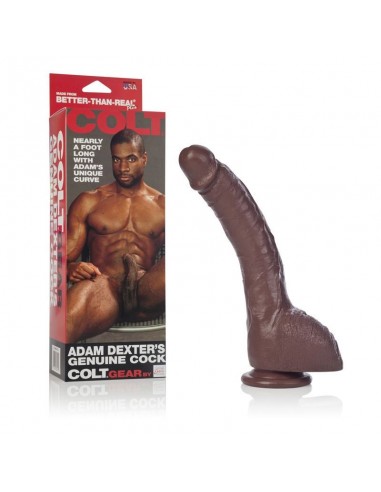 Dildo-COLT ADAM DEXTER DONG BROWN - Dilda realistyczne - 1
