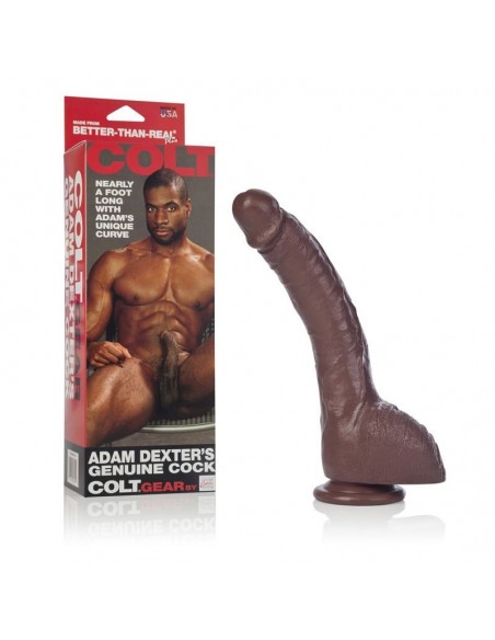 Dildo-COLT ADAM DEXTER DONG BROWN - Dilda realistyczne - 1