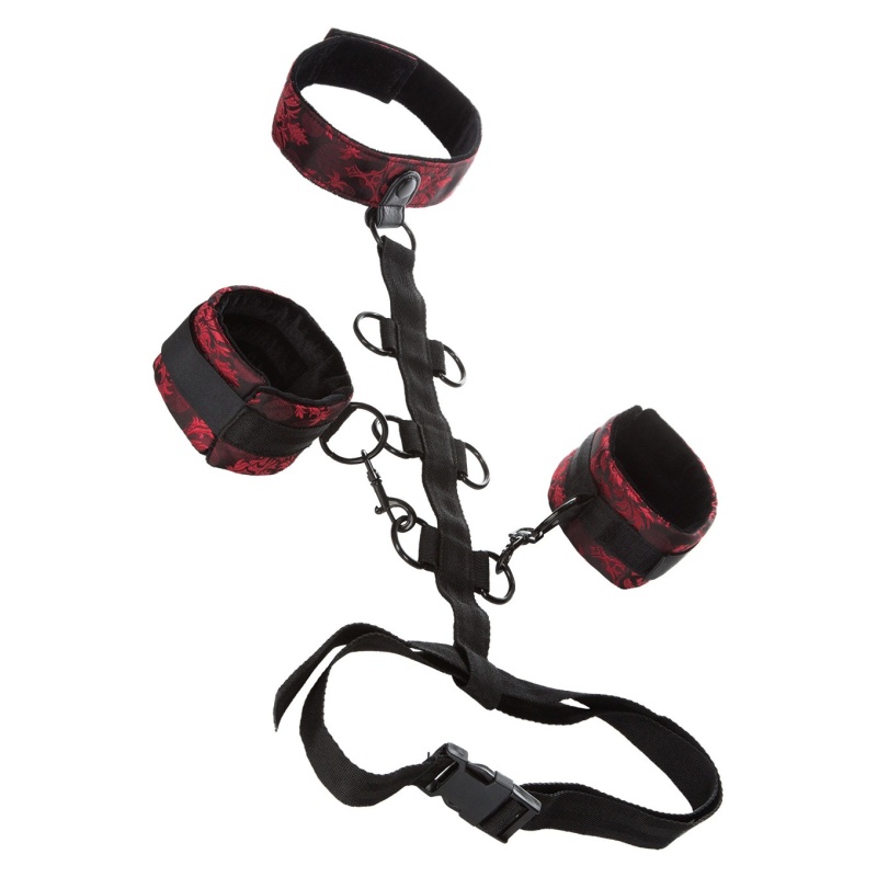BDSM Scandal Collar Body Restraint - 1