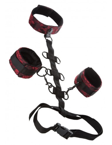 BDSM Scandal Collar Body Restraint - Chokery, obroże i smycze - 1