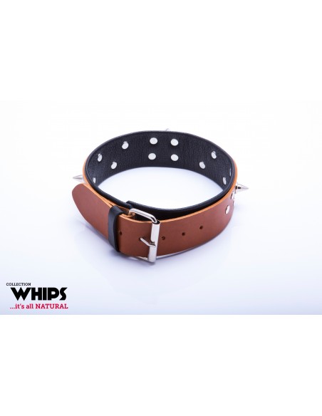 BDSM Whips Obroża Męska Ze Smyczą, Koniakowa - Chokery, obroże i smycze - 1