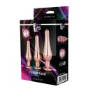 GLEAMING LOVE PLEASURE SET ROSE GOLD - 3