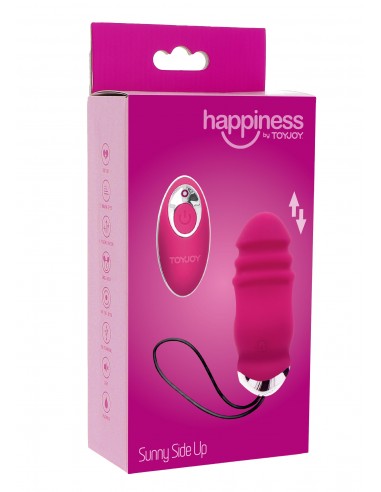Sunny Side Up And Down - WIBRATORY NA PILOTA - 2