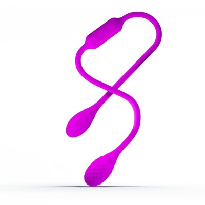 Dwustronny wibrator jajeczkowy Dream Lover's Whip – 20,5 cm - 1