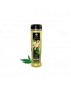Shunga Exotic Green Tea 240ml - Olejki i żele do masażu - 1