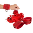 Bad Kitty Bed Restraint Set - 3
