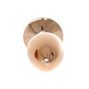 Korek analny Rose Peach ze stali nierdzewnej, 7 cm, śr. 2,7 cm, z różą u podstawy - 6