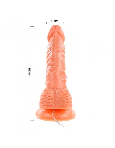 BAILE - SUPER ROTA DONG, Vibration Suction base  - Wibratory Realistyczne - 7