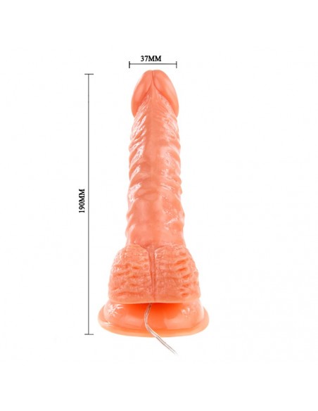 BAILE - SUPER ROTA DONG, Vibration Suction base  - Wibratory Realistyczne - 7