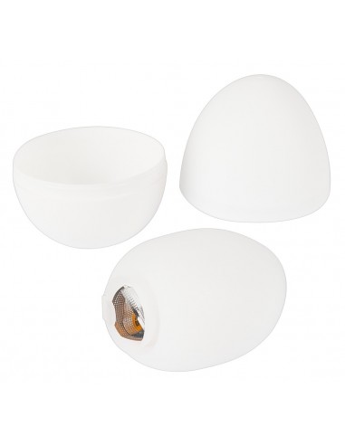 Tenga Egg Shiny Pride Edition6 - Masturbatory i Sztuczne pochwy - 3