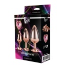 GLEAMING LOVE ROSE GOLD PLUG SET - 4