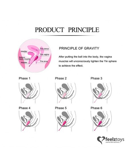 FeelzToys - FemmeFit Pelvic Muscle Training Set 6 pcs - Zestawy Kulek Gejszy - 4