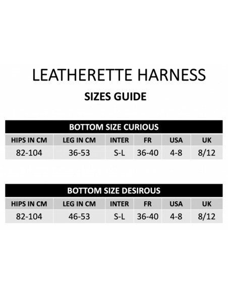 Leatherette Harness Curious - Uprzęże Strapon - 12