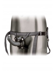 The Royal Ultra-Soft Set