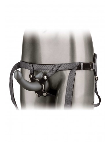 The Royal Ultra-Soft Set