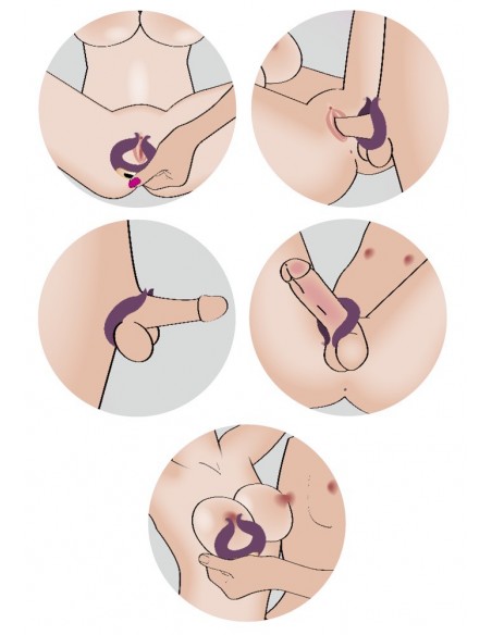 Couples Choice Two motors coup