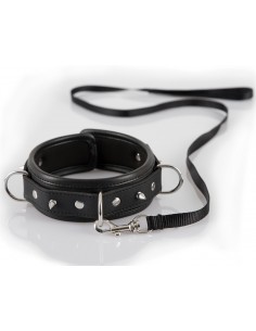 Collar Leash 2
