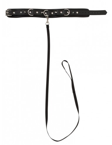 Collar Leash