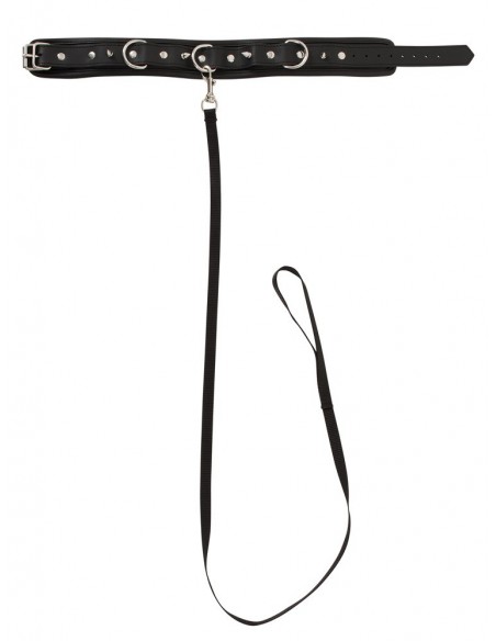 Collar Leash