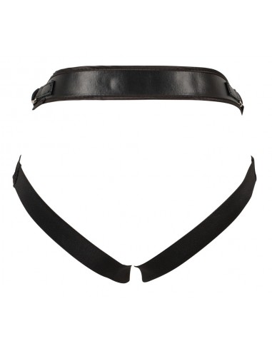 Strap-On Kit for playgirls 2Di