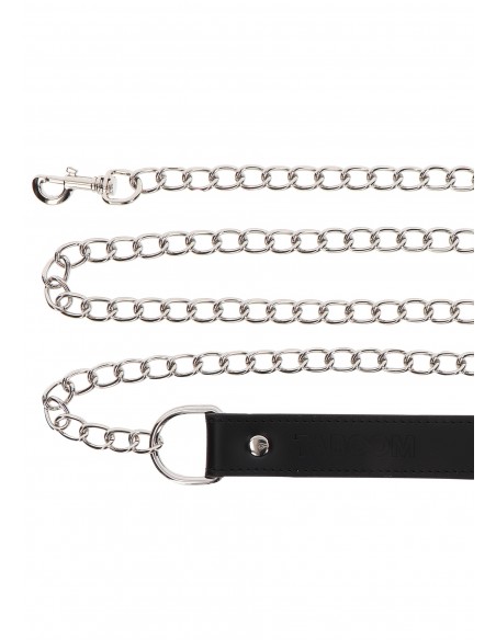 Chain Leash