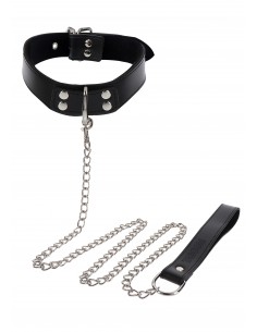 Elegant Collar and Chain Leash