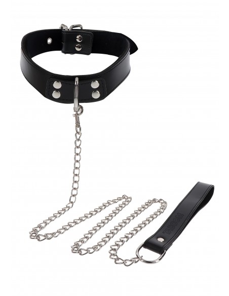 Elegant Collar and Chain Leash