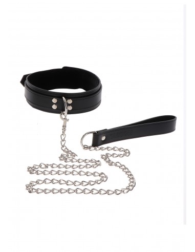 Elegant Collar and Chain Leash