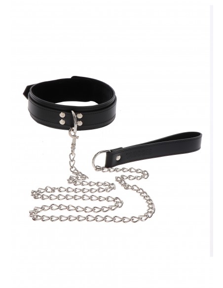 Elegant Collar and Chain Leash