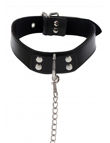 Elegant Collar and Chain Leash
