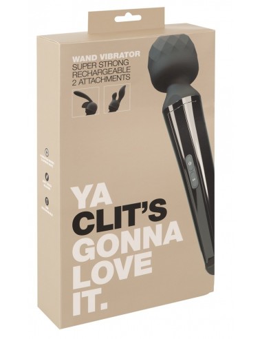 Massage Wand & 2 Attachments