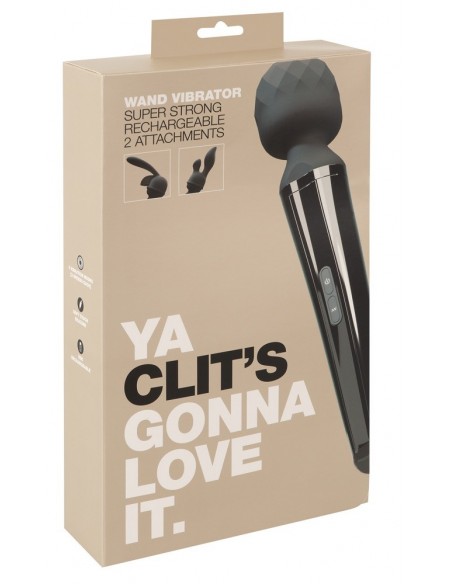 Massage Wand & 2 Attachments