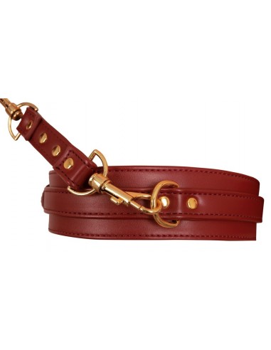 Bad Kitty Hand/Leg Restraints