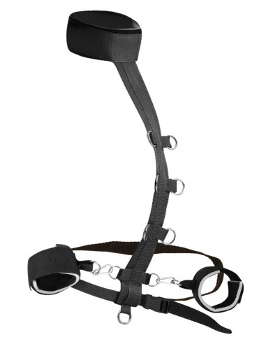 Bad Kitty neck/waist restraint