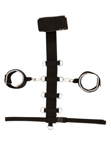 Bad Kitty neck/waist restraint