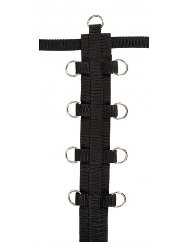 Bad Kitty neck/waist restraint