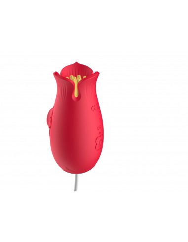 Suction and vibration Flower Love egg