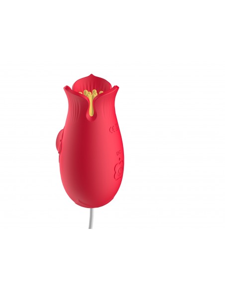 Suction and vibration Flower Love egg