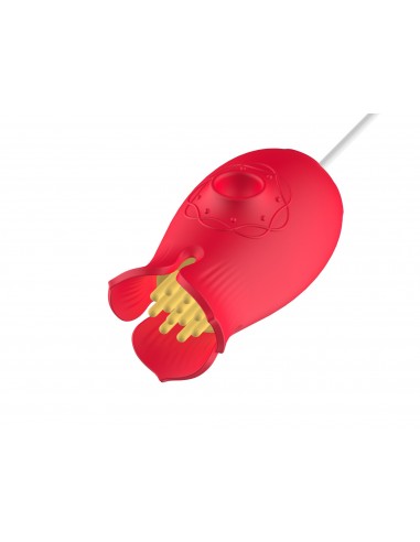 Suction and vibration Flower Love egg