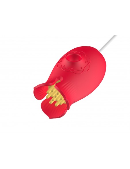 Suction and vibration Flower Love egg