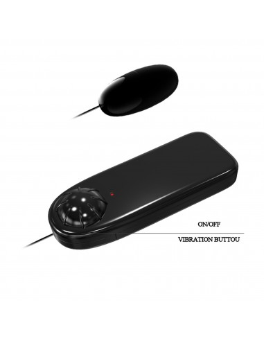 BAILE- PASSION LADY, Vibration