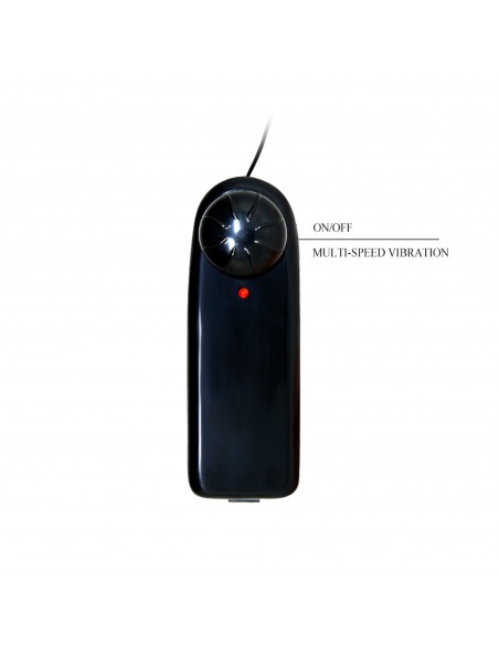 BAILE- TEMPTATION BIGGER MAN, Vibration 