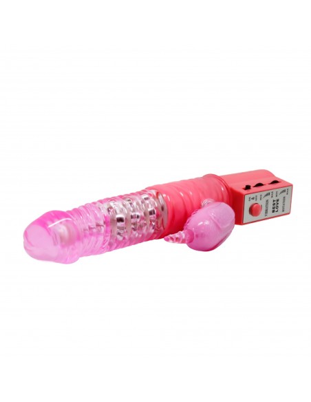 BAILE- CHRIS INA, Vibration Rotation 