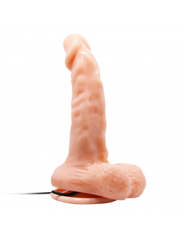 BAILE- REALISTIC MALE COCK AND TIGHT ASS, Vibration Suction base 