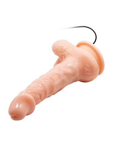 BAILE- REALISTIC MALE COCK AND TIGHT ASS, Vibration Suction base 