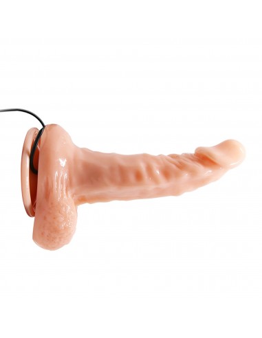 BAILE- REALISTIC MALE COCK AND TIGHT ASS, Vibration Suction base 