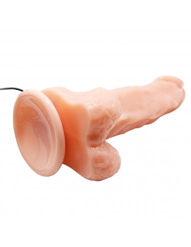 BAILE- REALISTIC MALE COCK AND TIGHT ASS, Vibration Suction base 