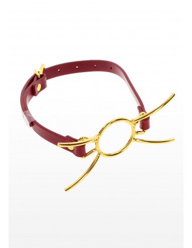 Open Mouth Spider Gag